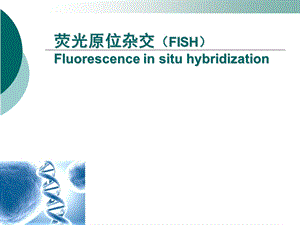 《FISH杂交技术》PPT课件.ppt