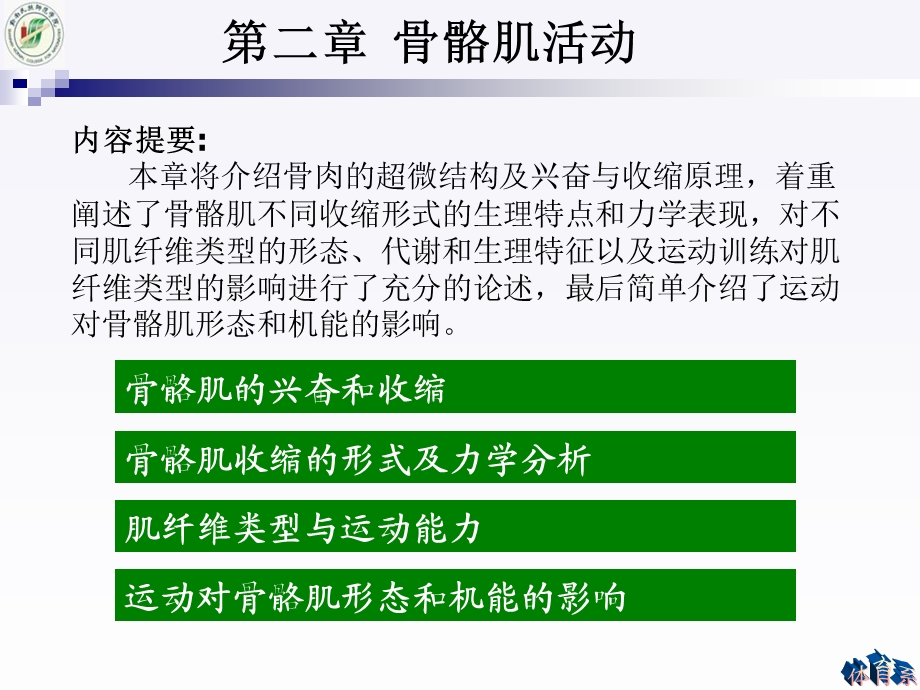 《股骨肌活动》PPT课件.ppt_第1页