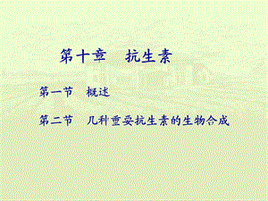 《抗生素安全》PPT课件.ppt