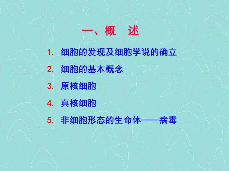 《细胞的基本知识》PPT课件.ppt_第2页