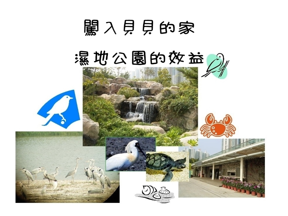 《湿地的作用》PPT课件.ppt_第1页