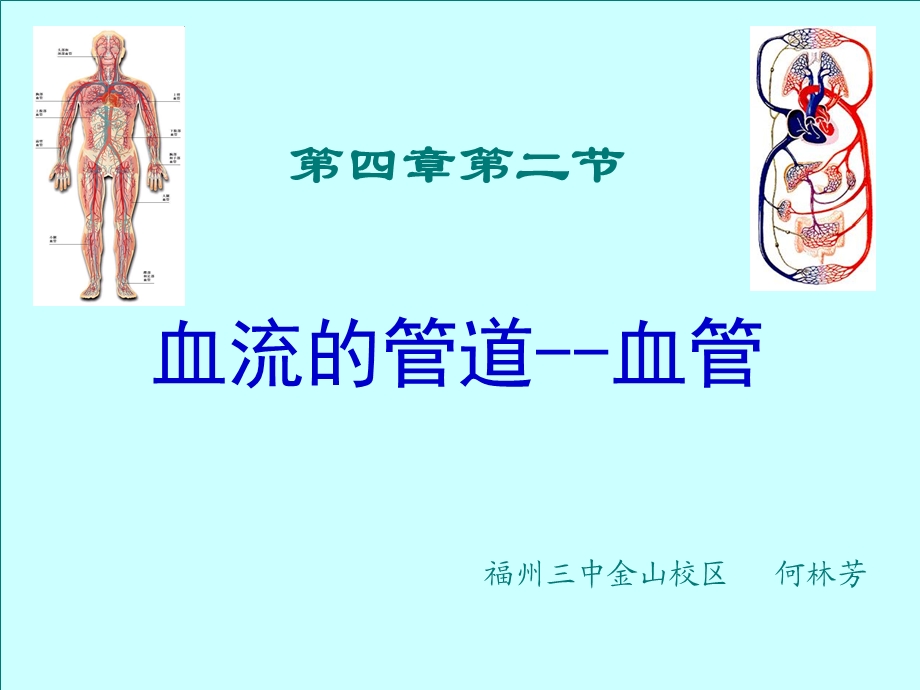 血流管道血管.ppt_第1页