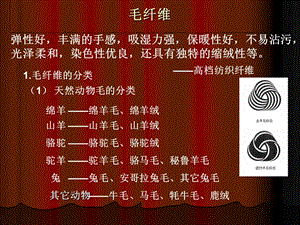 《纺材纤维分类》PPT课件.ppt