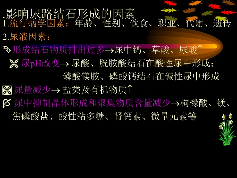 新版泌尿系统结石结核.ppt_第2页