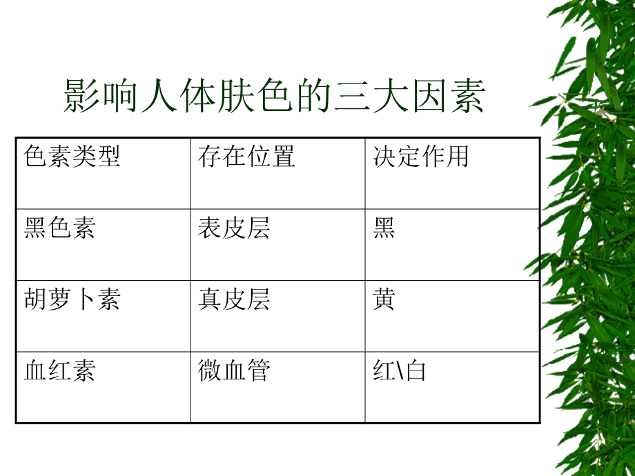 《美白淡斑理论》PPT课件.ppt_第2页