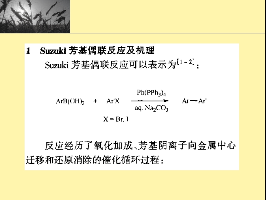 Suzuki芳基偶联反应.ppt_第3页