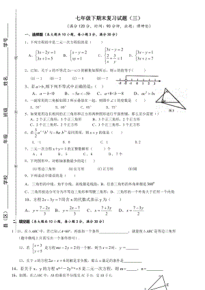 华师大版七年级下册数学期末复习题.doc