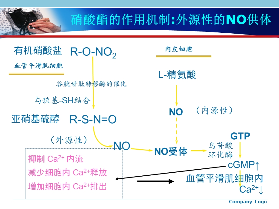 《硝酸酯类药物》PPT课件.ppt_第3页