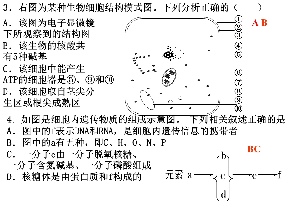 《生物双选题》PPT课件.ppt_第3页