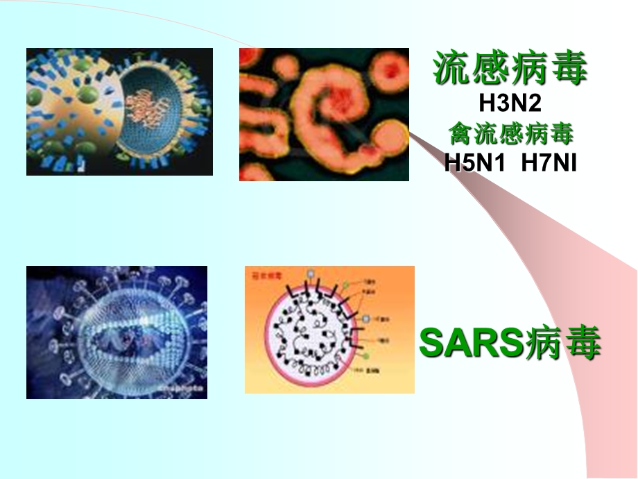 《流感预防知识》PPT课件.ppt_第3页