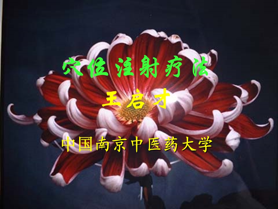 《穴位注射疗法》PPT课件.ppt_第2页