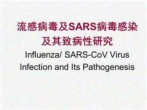 《流感病毒专题》PPT课件.ppt