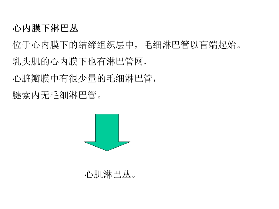 心脏8淋巴心包.ppt_第2页