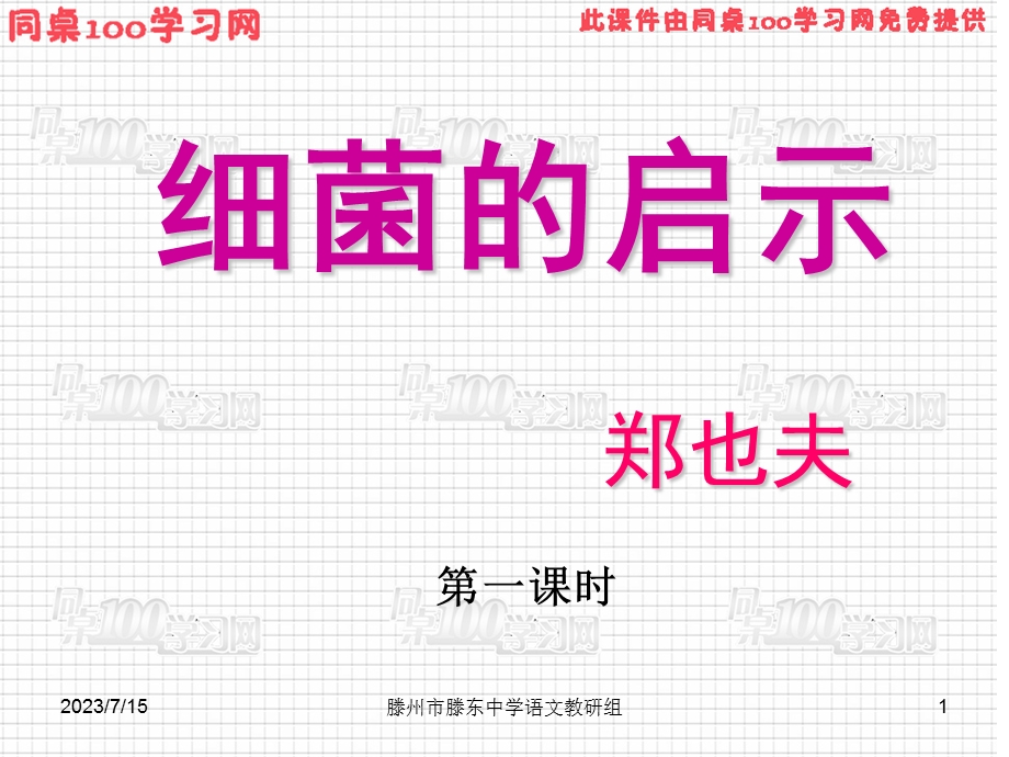 细菌的启示.ppt_第1页