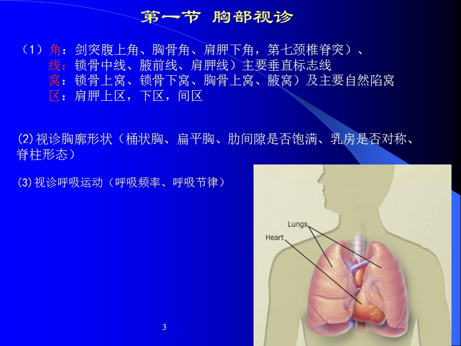 《胸腹部体格检查》PPT课件.ppt_第3页