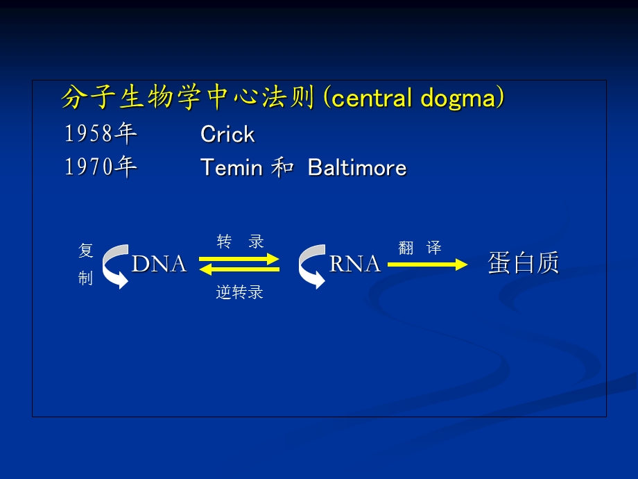 DNA的复制、修复与重组DNA技术.ppt_第3页