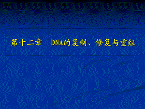 DNA的复制、修复与重组DNA技术.ppt