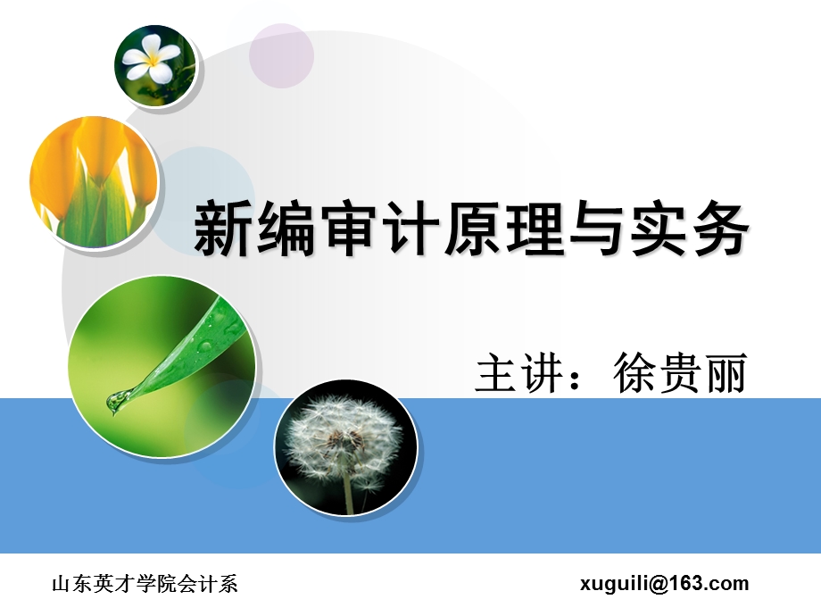 新编审计原理与实务.ppt_第1页