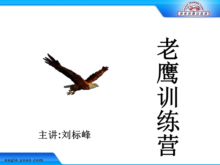 《老鹰训练营》PPT课件.ppt_第1页