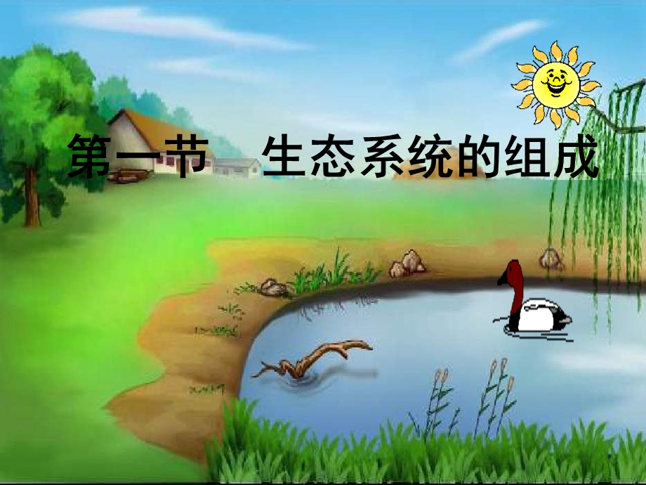 《生态系统的组成》PPT课件.ppt_第1页