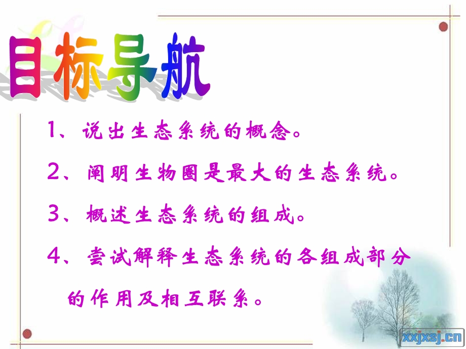 《生态系统的组成》PPT课件.ppt_第2页