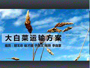 《大白菜运输方案》PPT课件.ppt