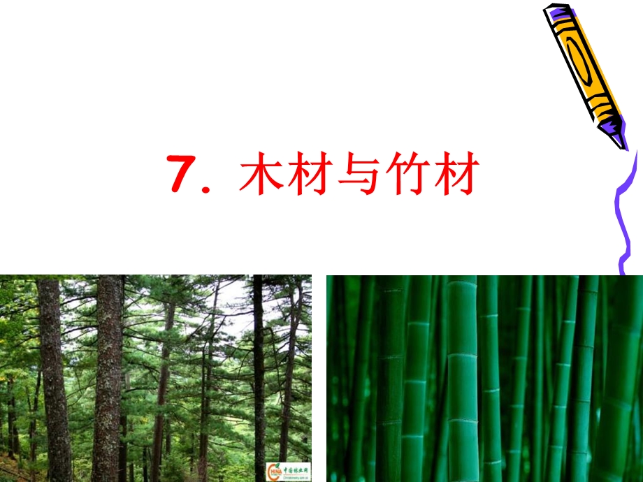 《木材与竹材》PPT课件.ppt_第1页