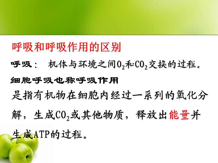 《呼吸作用总结》PPT课件.ppt_第2页