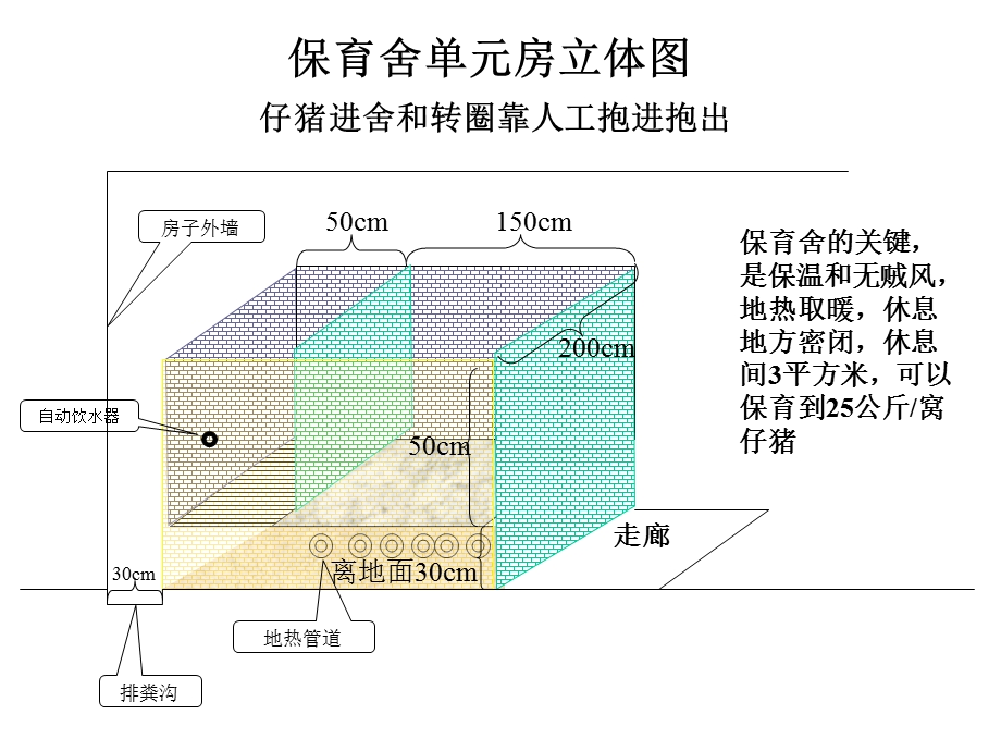 《猪舍设计》PPT课件.ppt_第2页