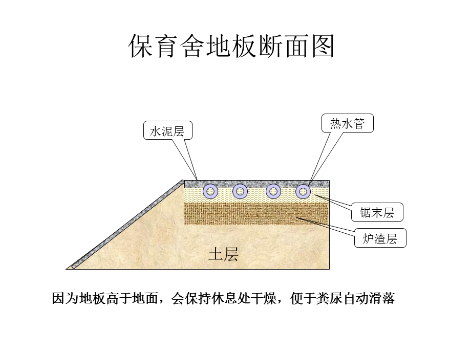 《猪舍设计》PPT课件.ppt_第3页