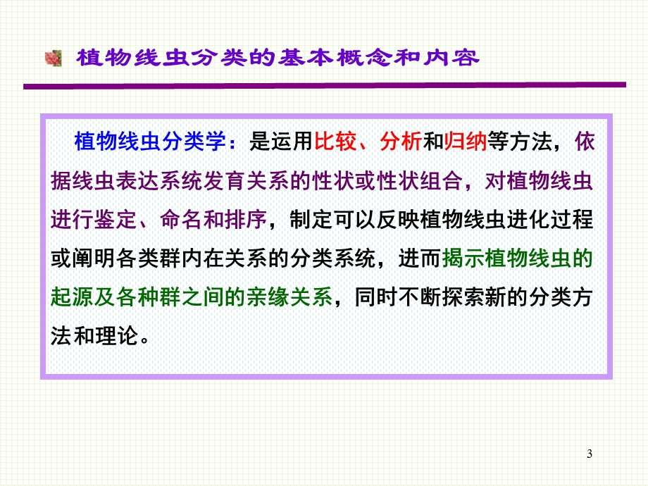 《线虫的分类鉴定》PPT课件.ppt_第3页