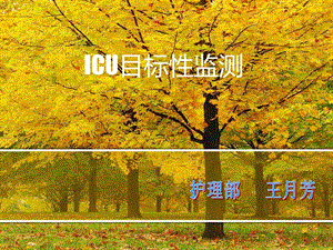 icu目标性监测.ppt