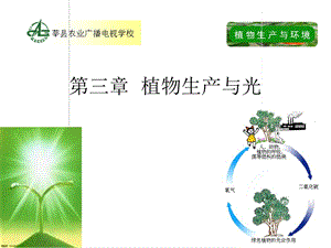 《植物生产与光》PPT课件.ppt