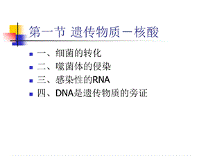 《染色质与基因组》PPT课件.ppt