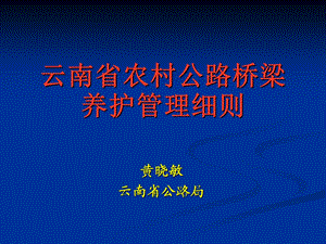 《桥梁管理办法》PPT课件.ppt