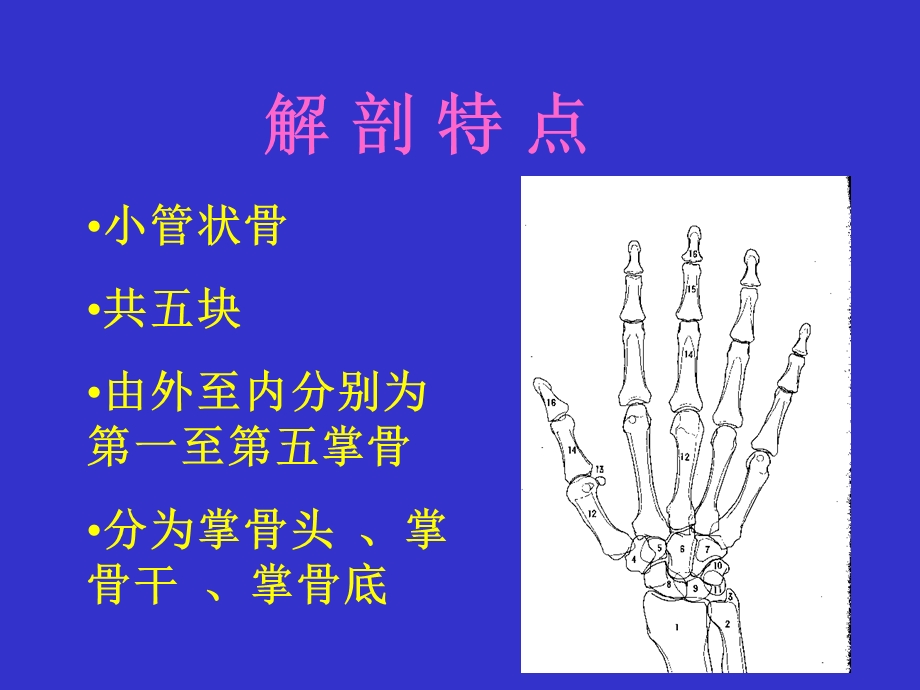 掌骨骨折内固定技术.ppt_第2页