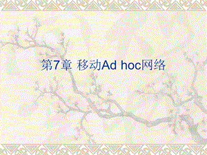 《移动Adhoc网络》PPT课件.ppt