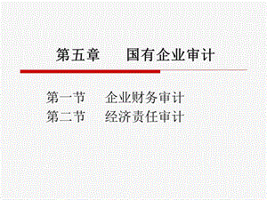 《国有企业审计》PPT课件.ppt