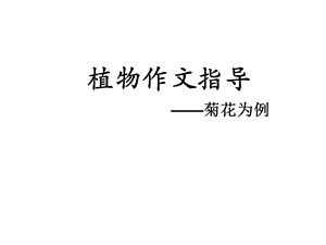 《作文菊花》PPT课件.ppt