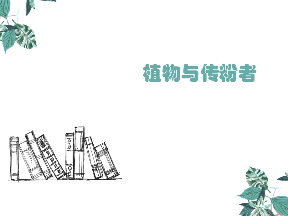 《植物与传粉者》PPT课件.ppt_第1页