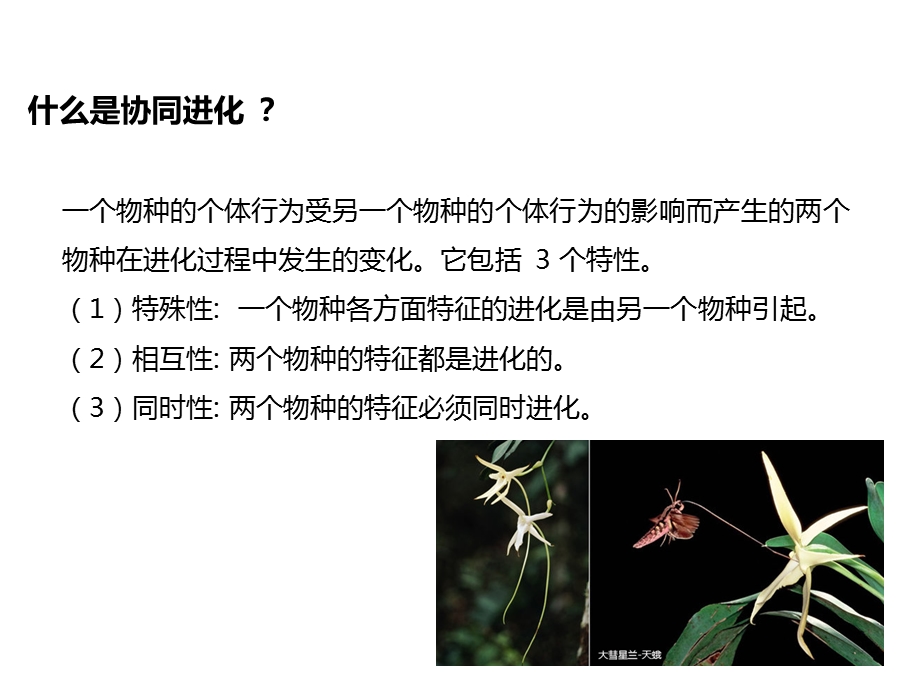 《植物与传粉者》PPT课件.ppt_第3页