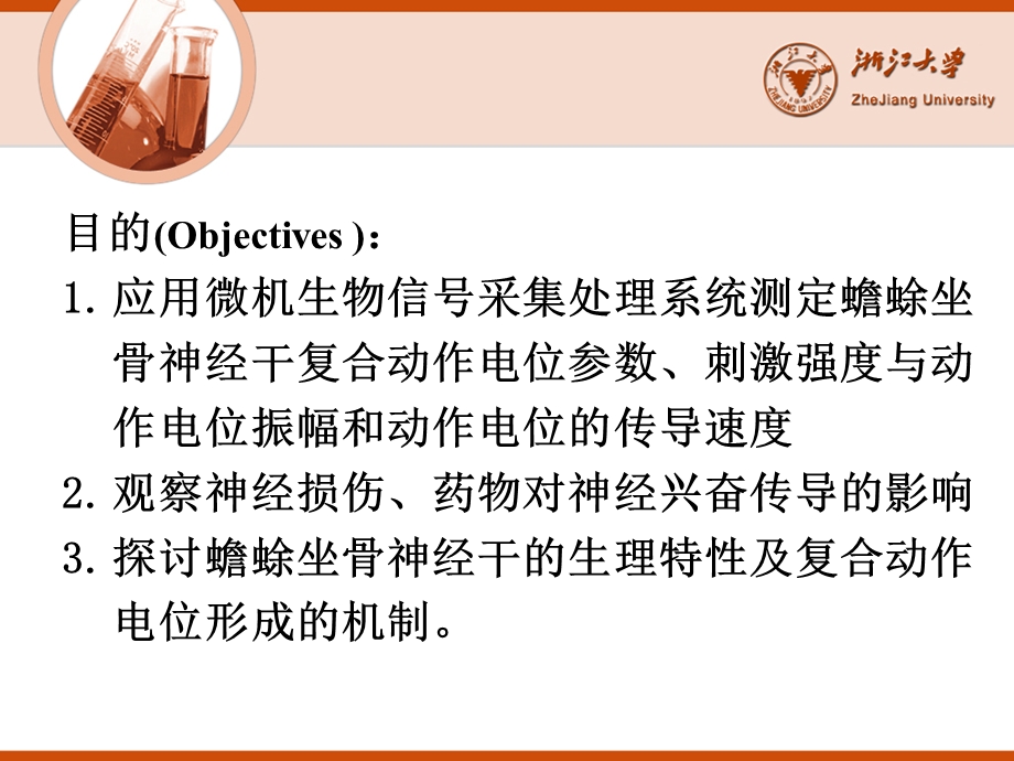 坐骨神经干.ppt_第2页