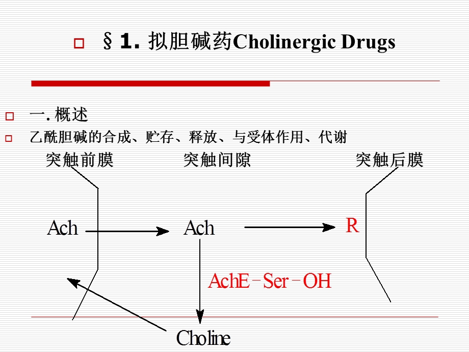 《拟胆碱药和》PPT课件.ppt_第2页