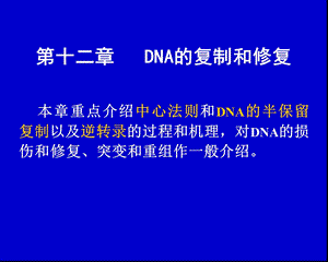 DNA的复制和修复.ppt