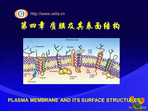 《细胞的奥秘》PPT课件.ppt