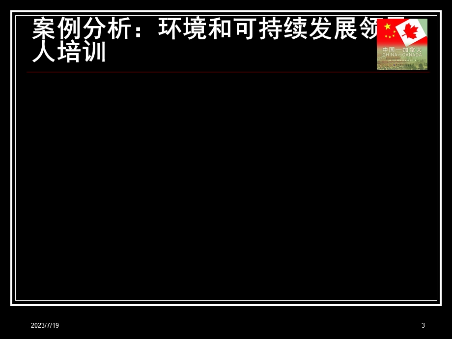 《案例分析示例》PPT课件.ppt_第3页