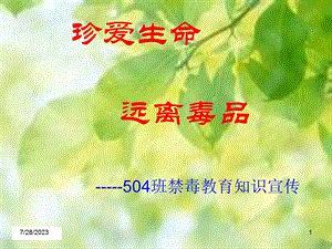 《禁毒教育》PPT课件.ppt