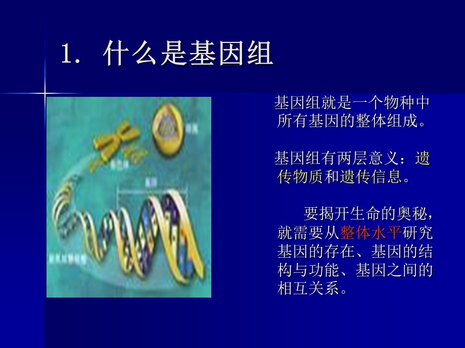 《全基因组测序》PPT课件.ppt_第3页