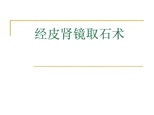 《经皮肾镜技术》PPT课件.ppt