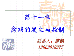 《禽病的发生与传播》PPT课件.ppt